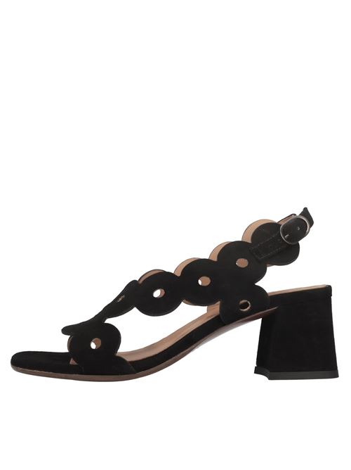  CHIE MIHARA | LEIDE ANTENERO